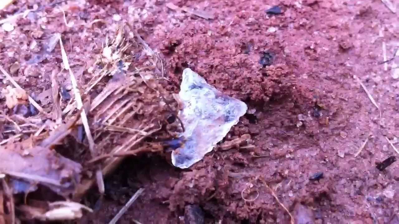 6/11/12 Crystal Madison! N.E. Georgia Arrowhead Hunting, Crystal ...