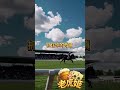 🐎下一匹黑馬，就是你！ATG賽馬逆襲奪冠實錄｜老虎姬娛樂
