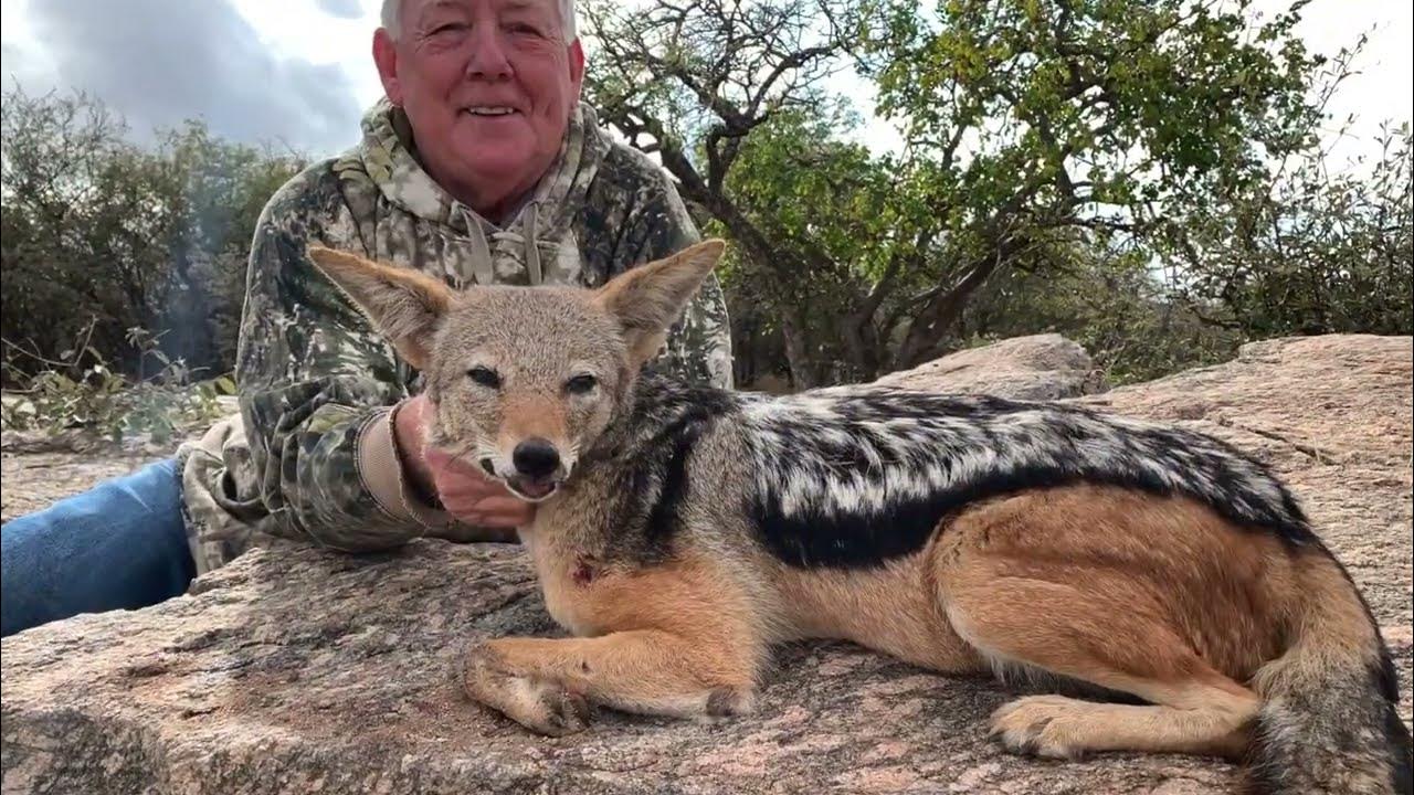 Jackal Hunt YouTube