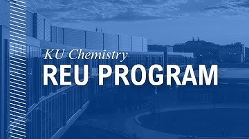 REU Program Overview