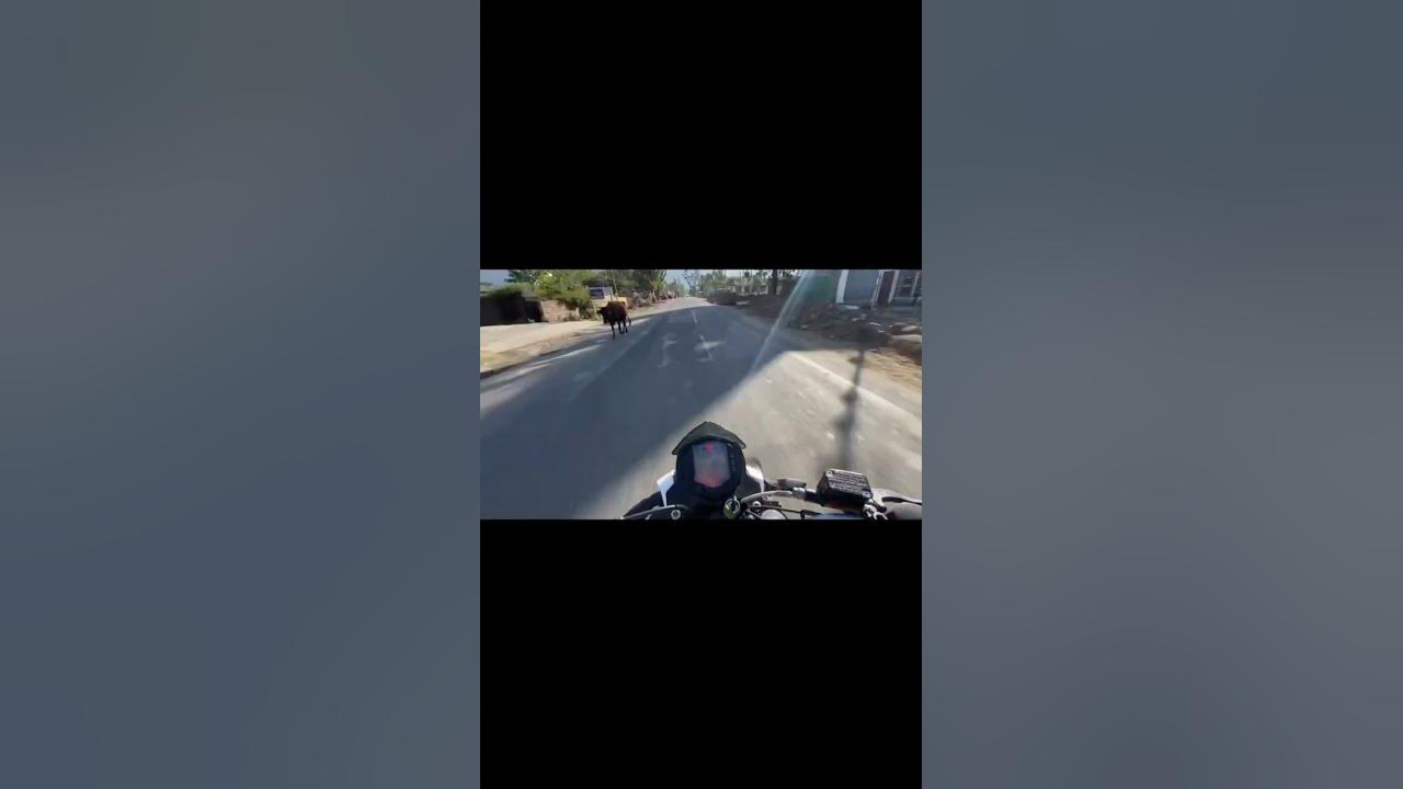 full-throttle-in-ktm-trending-viralvideo-youtubeshorts-feedshorts