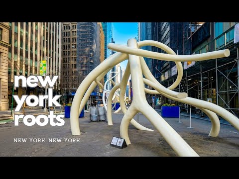 Steve Tobin: New York Roots | NYC