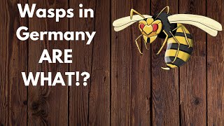 This is why Germany is littered with wasps