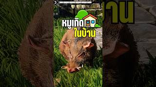 หมูเกิดในบ้าน #apologizech #windrose