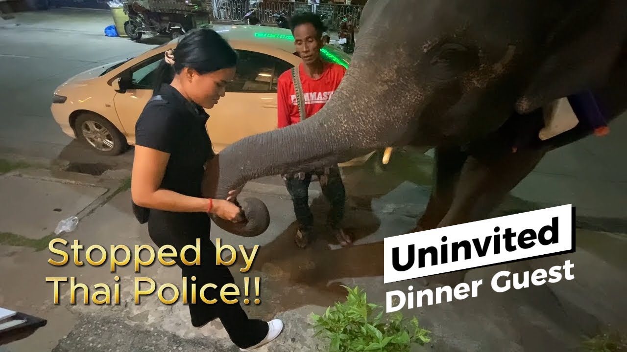 vlog 051 Rain, rain go away.