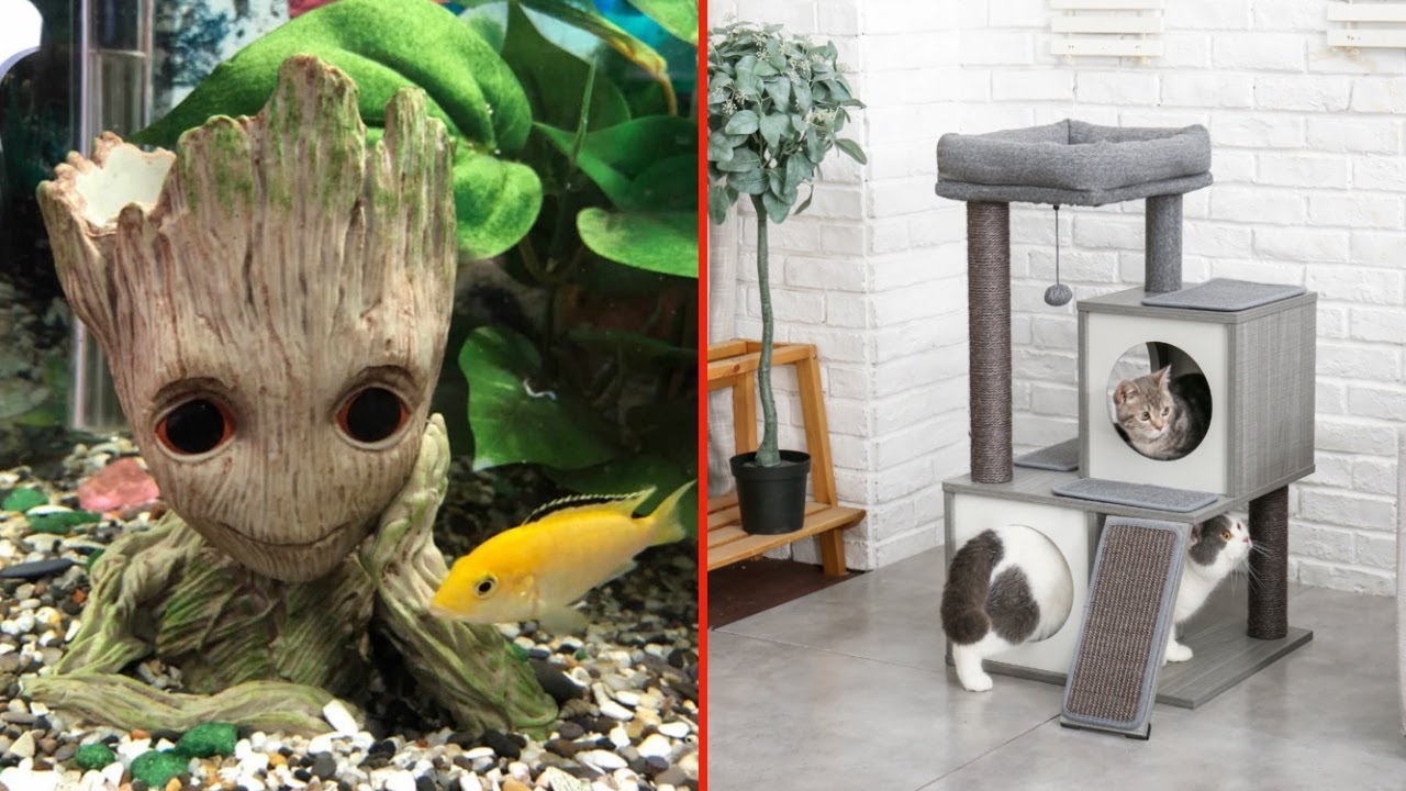 20 крутых товаров для животных с АлиЭкспресс