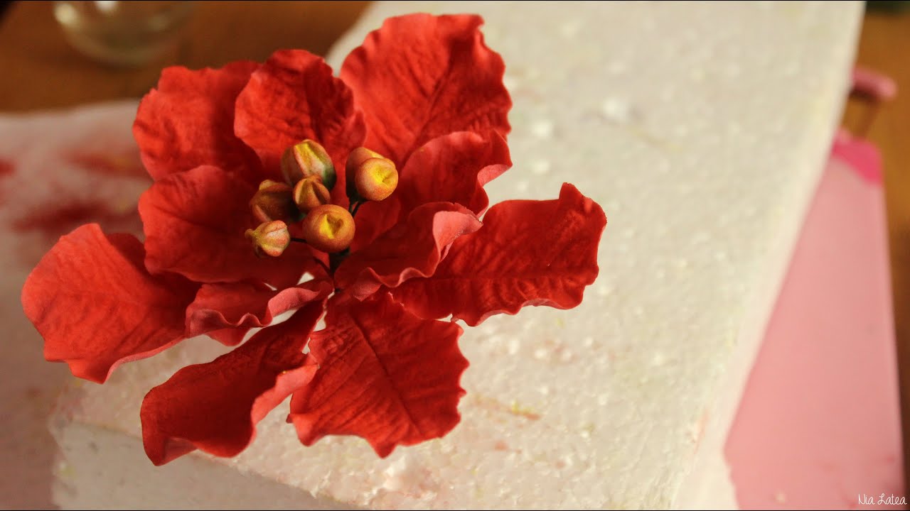 einfacher Weihnachtsstern aus Bltenpaste/ easy gumpaste poinsettia tutorial