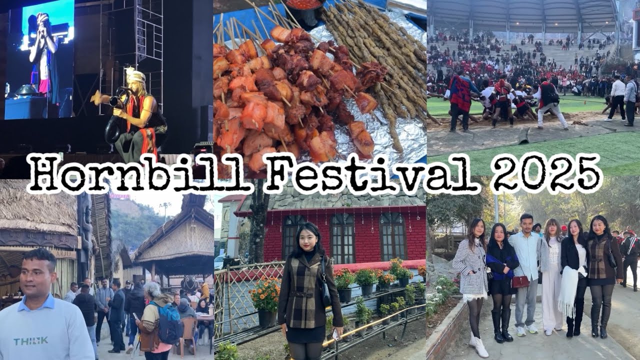 Фестиваль птиц-носорогов 2025 | Визит в Морунг | Экзотическая еда племени нага | Музыкальный фест...