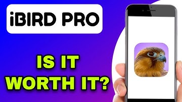 iBIRD PRO GUIDE MOBILE APP REVIEW - IS IT WORTH IT? (EXPLAINED)