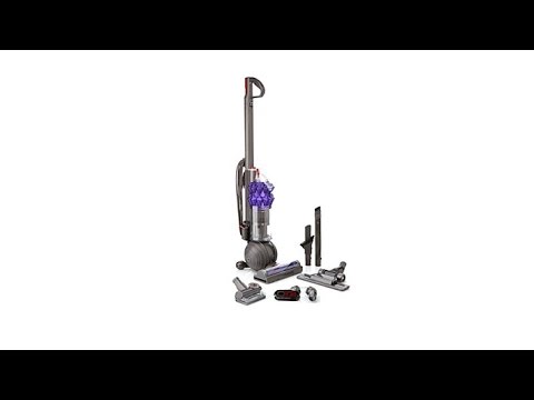 Dyson DC50 Animal Compact Upright Vacuum with Added Tools