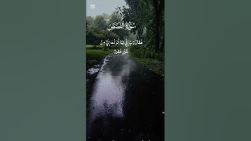 سورة القصص@قرآن#القرآن راحة نفسية #ادعم #اكسبلور