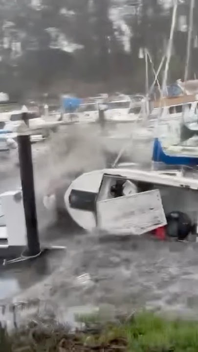 Tsunami in santa cruz 2025