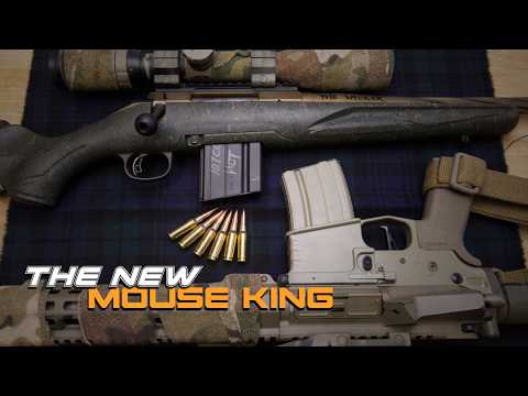 Diminutive King of the DMR Snipers!
