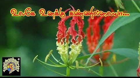 உலகே உனக்கு கண்ணில்லையா... | ஈழப்பாடல் | தமிழ்தேசிய பாடல்கள் | தமிழ் | ஐ நா மன்றம்