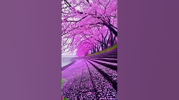 🦋💙 سورة العنكبوت آية 62 -اللَّهُ يَبْسُطُ الرِّزْقَ لِمَنْ يَشَاءُ مِنْ عِبَادِهِ وَيَقْدِرُ لَهُ...