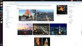 How to use Chrome Screenshot screenshot 4