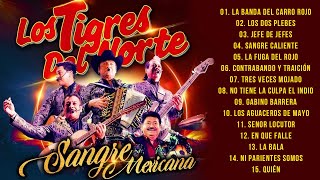 MIX TIGRES DEL NORTE VOL.2 CORRIDOS - Puros Corridos Mix 🔥 Puros Corridos Pesados Tigres Del Norte by Musica Mexicana Mix 154,900 views 1 month ago 1 hour, 18 minutes