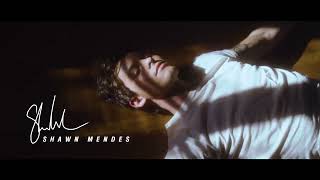 Download Lagu Shawn Mendes- teach me how to love | acoustic version from wonderland MP3