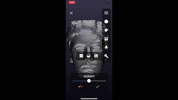 Decimate and Smooth Functionality in Scandy Pro for iOS