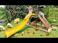 Main Perosotan Ayunan dan Kasih Makan Binatang Lucu Domba, Ayam - Mengenal Binatang