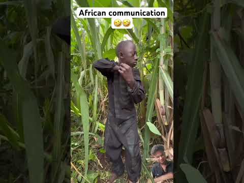 Tainga Tainga Viral Shorts Video Explorer Tech N Comedy Virals Comedy Memes