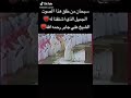 قالت يا أيها الملأ إني ألقي إلي كتاب كريم الشيخ علي جابر