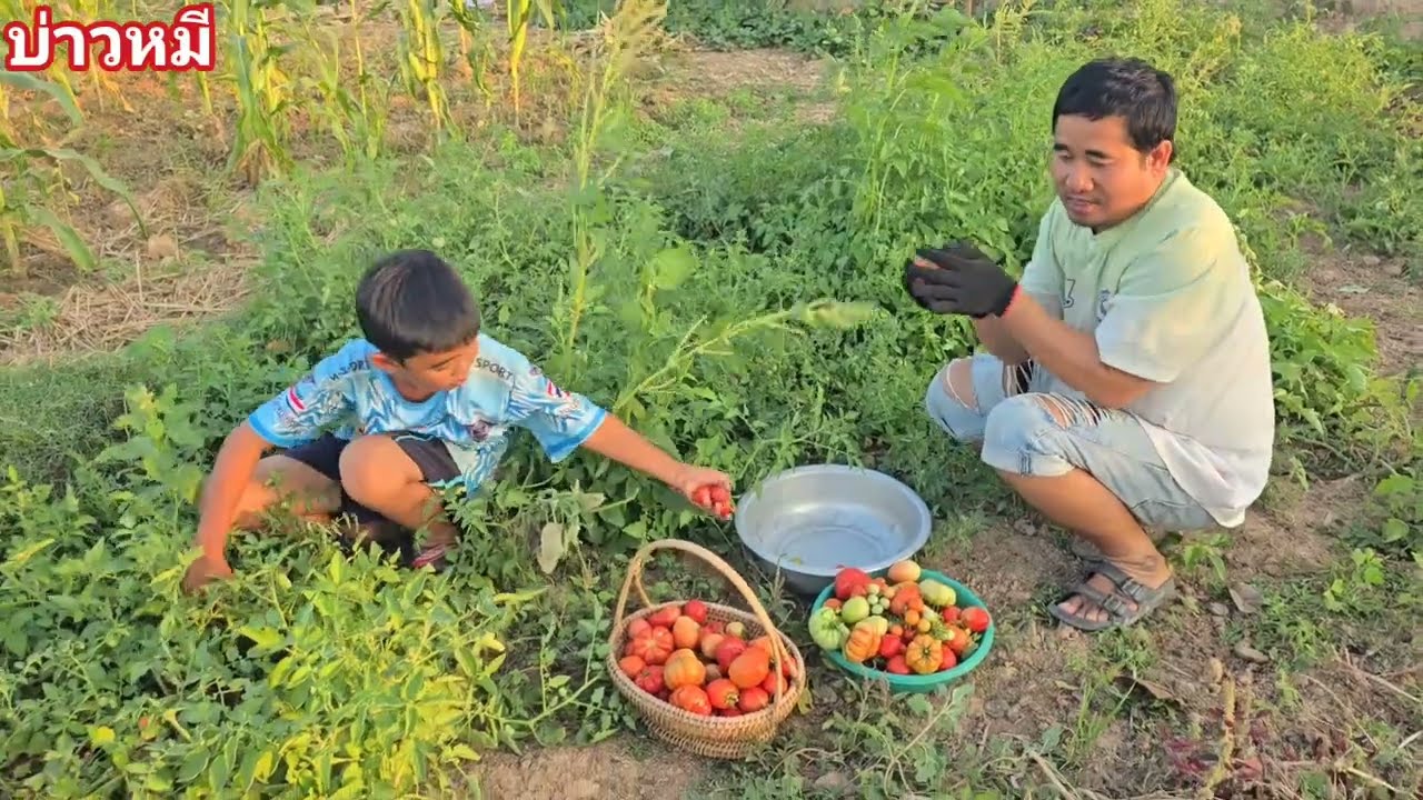 สุกเยอะจริงๆ.