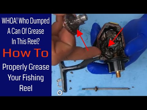 DAIWA Reel Repairs & Tutorials 