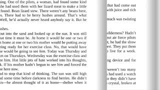 Hatchet Chapter 6