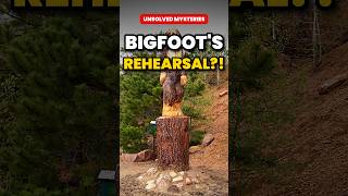 Bigfoot Film: Did the Famous 1967 Footage Have a Rehearsal? | Unsolved Mysteries