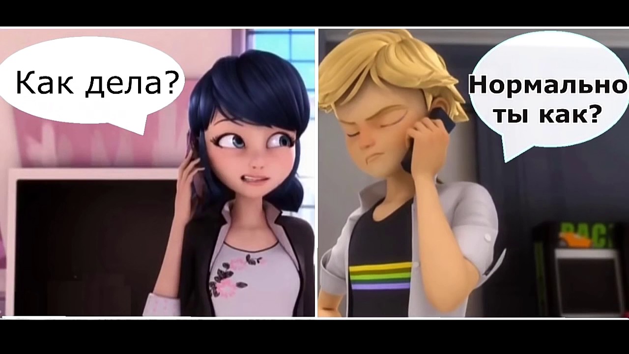 Леди баг и супер кот смешные картинки с надписями