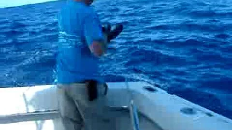 andy dougherty on Reel Work mako shark gaff