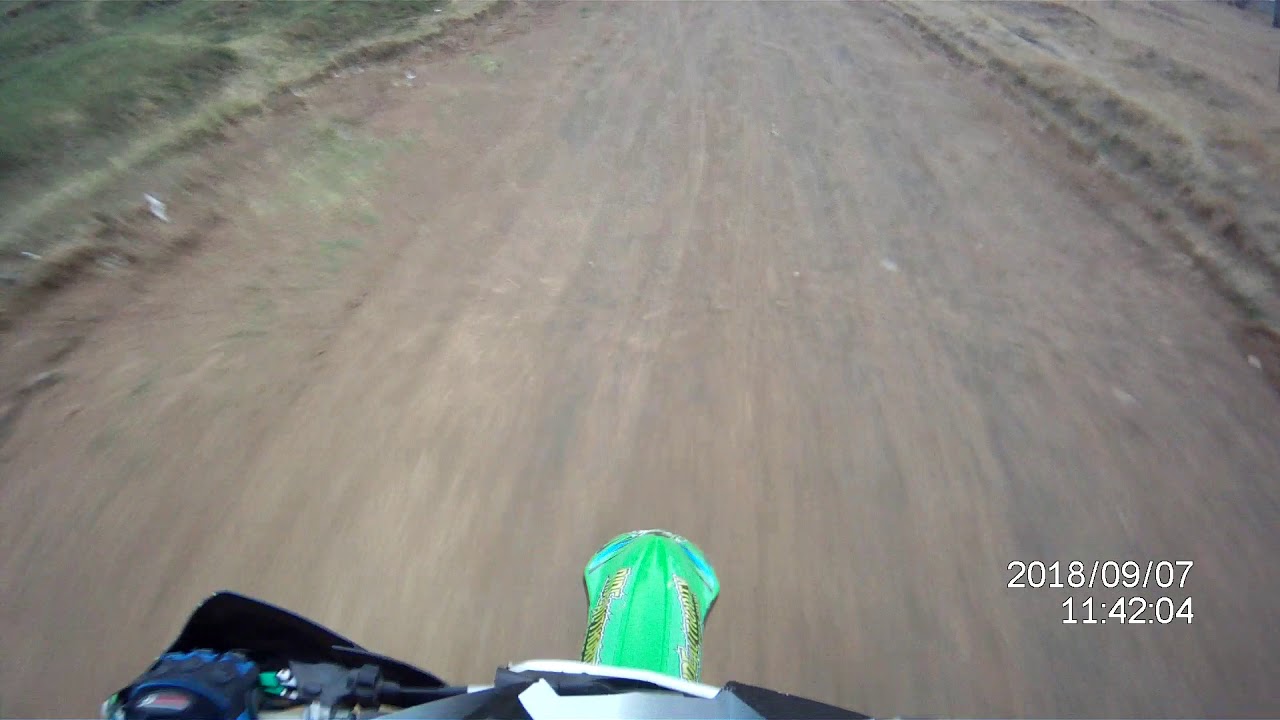 Dum animals vs Bikers