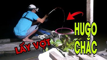 Câu Cá Tra Trên Sông Tiền Ở Miền Tây/ TAN THANH FISHING