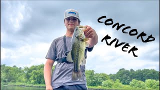 Fishing Top Water Frogs For Largemouth Bass Concord River Ma