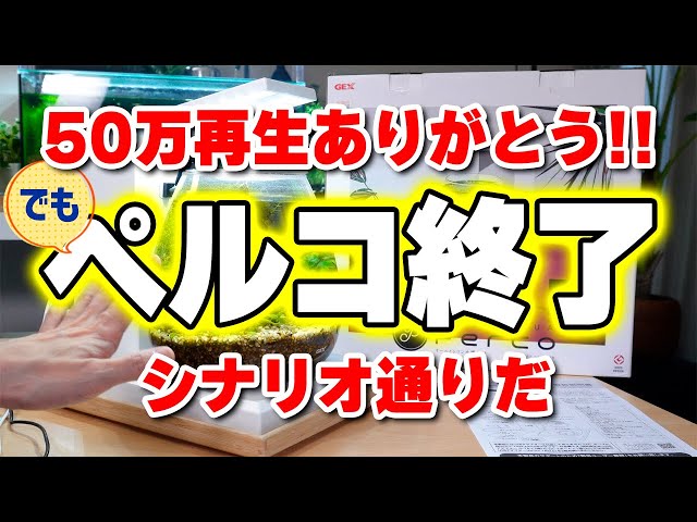 It's been six months, so I reset it. - YouTube