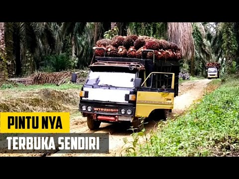 Umplung rasa canter Tenaga gak kalah sama truk  tahun 