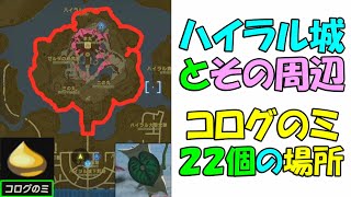 【ゼルダの伝説ティアキン】ハイラル城とハイラル城周辺のコログのミ２２個の場所と取り方【ゼルダの伝説ティアーズオブザキングダム】