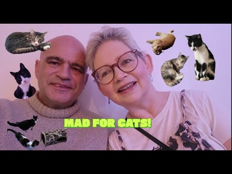 We went CRAZY at KIKO'S CAT CAFE! #rye #adoptdontshop - YouTube