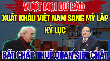 Vì Sao Hàng Việt Vẫn Ồ Ạt Vào Mỹ Dù Thuế Ngất Ngưởng? | Thấu Kính