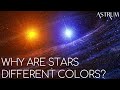 What Makes Stars So Different From Each Other?
