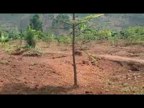 DORE Ahantu Harubutaka Bwamake Mumugi Wakigali Buriwese Yakigondera 0792572727