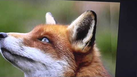 Как сделать 3д эффект.