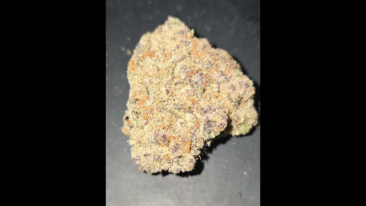 Sub Zero strain by Call Me THCa