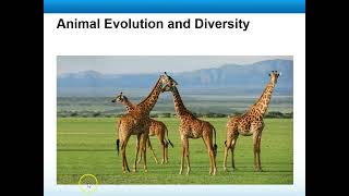 Biology Lecture 9 2A   Differences Between Clades