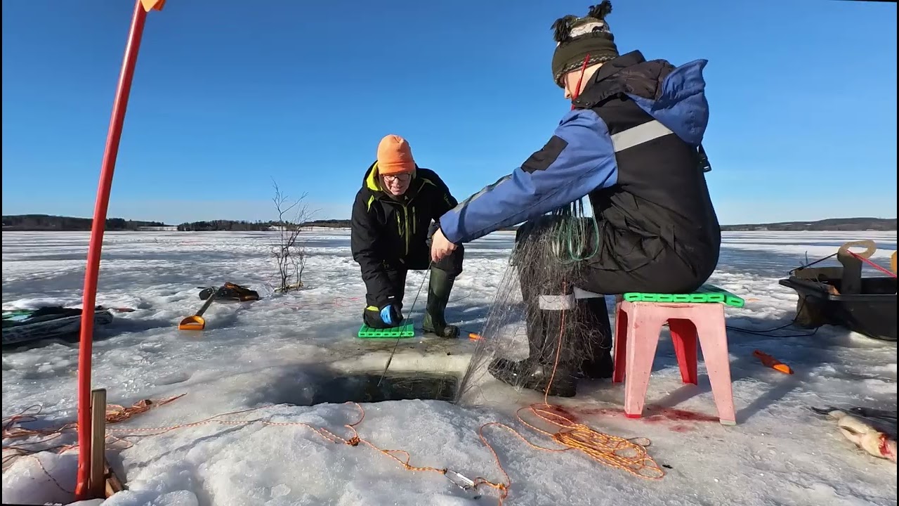 Talviverkoilla, seitsemästoista koku