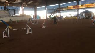 Robin USDAA Regional semifinal Grand Prix 3/9/19