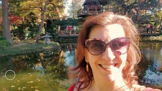 Flexibility for travel and study abroad
