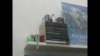 100_4453.MOV