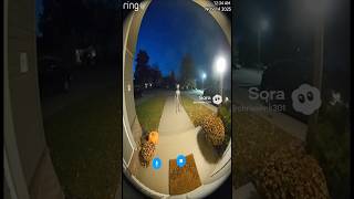 ring doorbell alien merry christmas